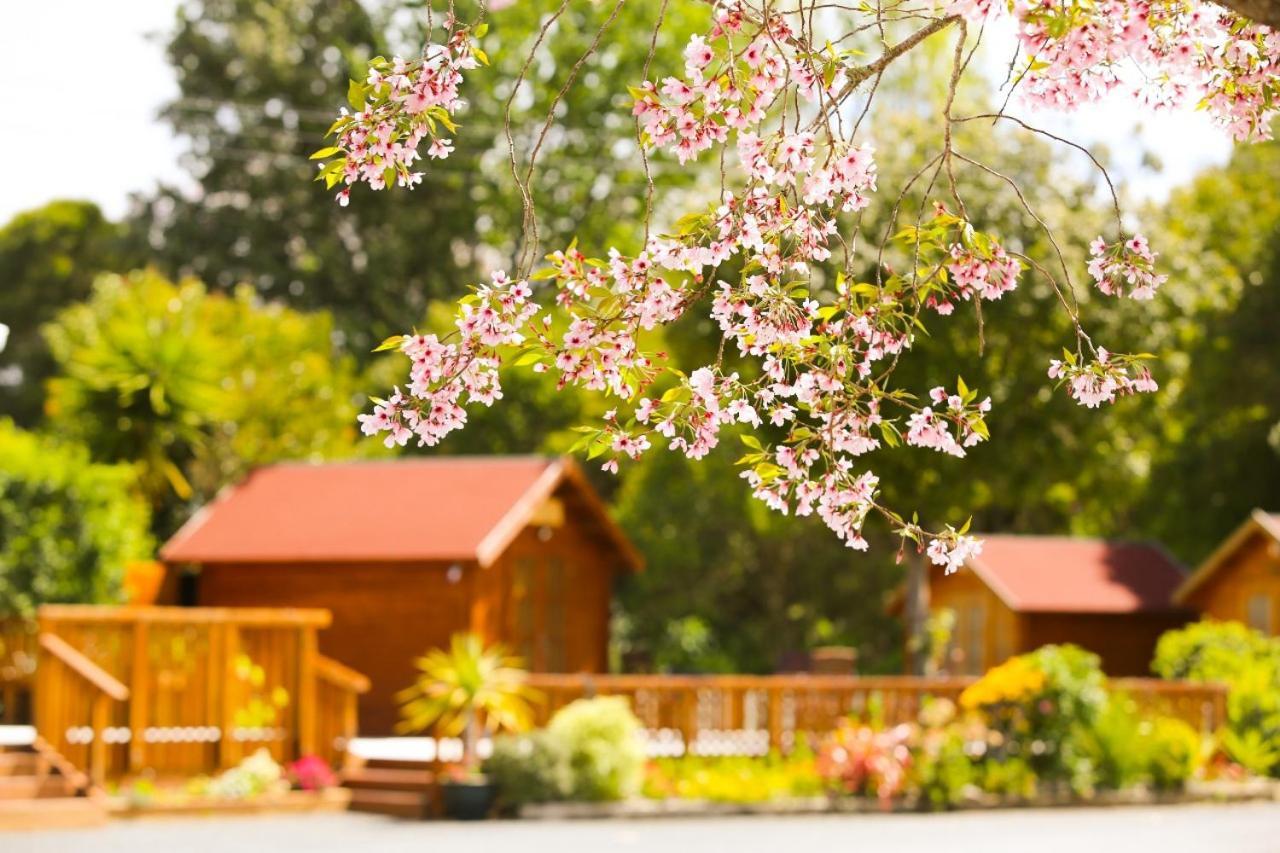 Orere Point Top 10 Holiday Park Auckland Bagian luar foto